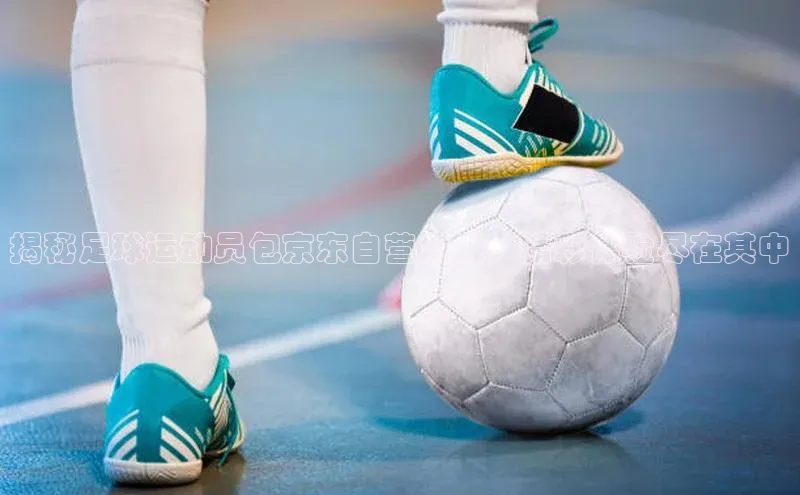 zoty中欧体育官方网站观星盘