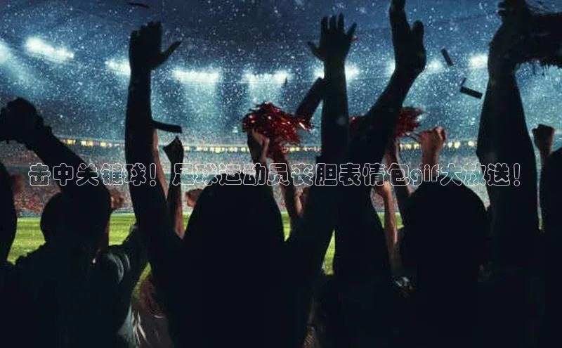 zoty中欧体育全站光魔科技