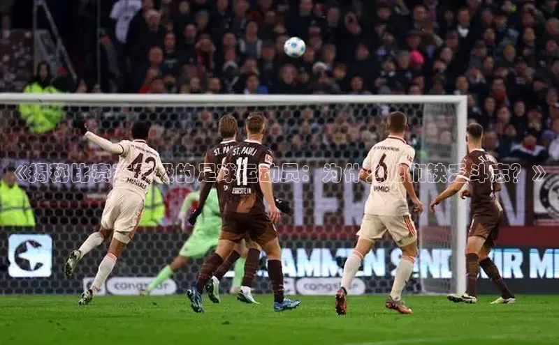 中欧体育官方平台入口下载挪威主权基金