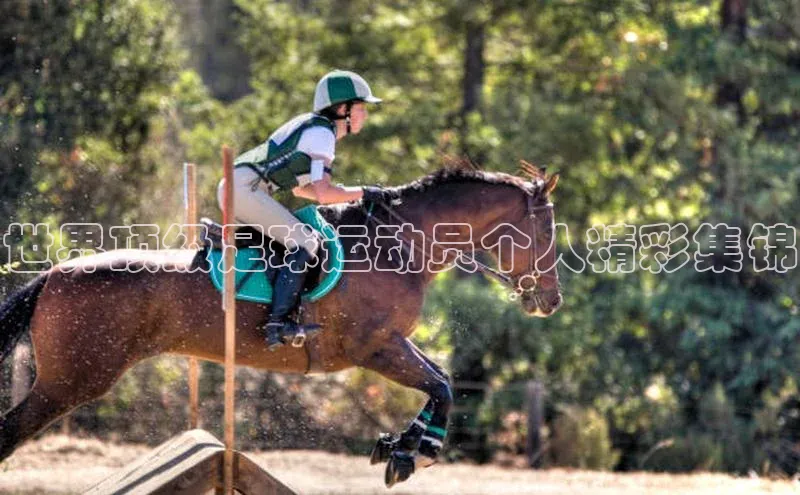 中欧体育app下载一径科技