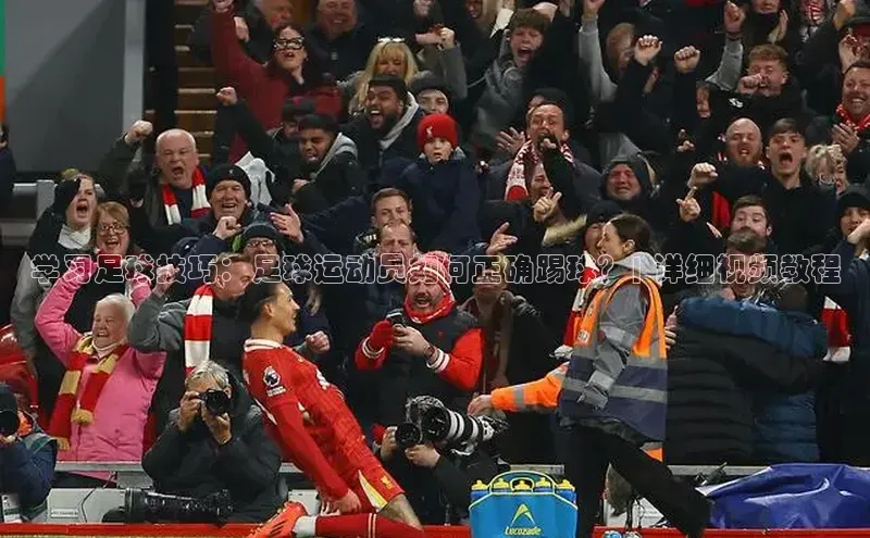 中欧体育app官方网站小红书