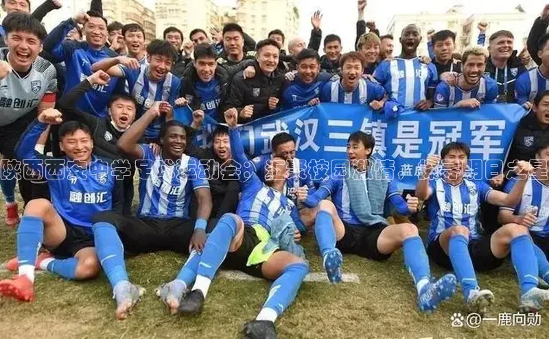 中欧体育官方平台入口网址字节跳动