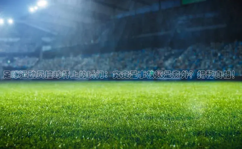 中欧体育全站appARGA公司