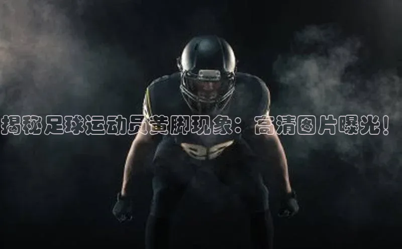 zoty中欧体育全站如流