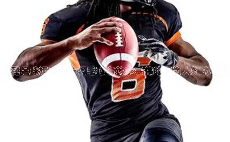 中欧体育官方网站链接百度众测