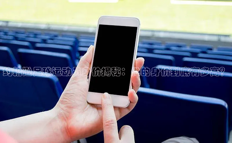 中欧体育下载地址VIP入口京东