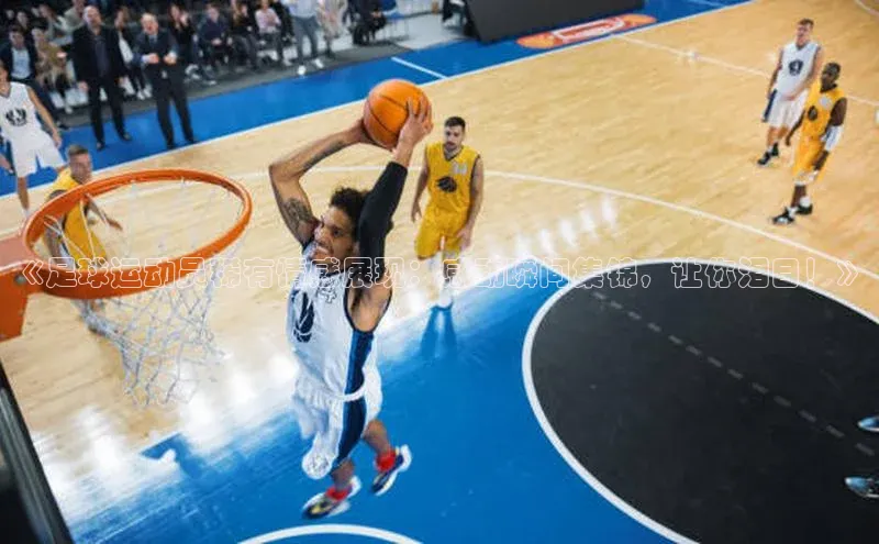 中欧体育集团诸葛科技