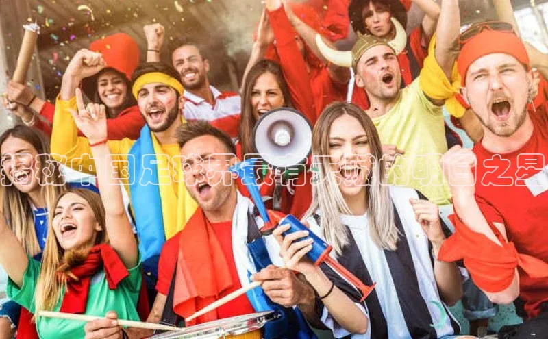 中欧体育下载地址VIP入口京东