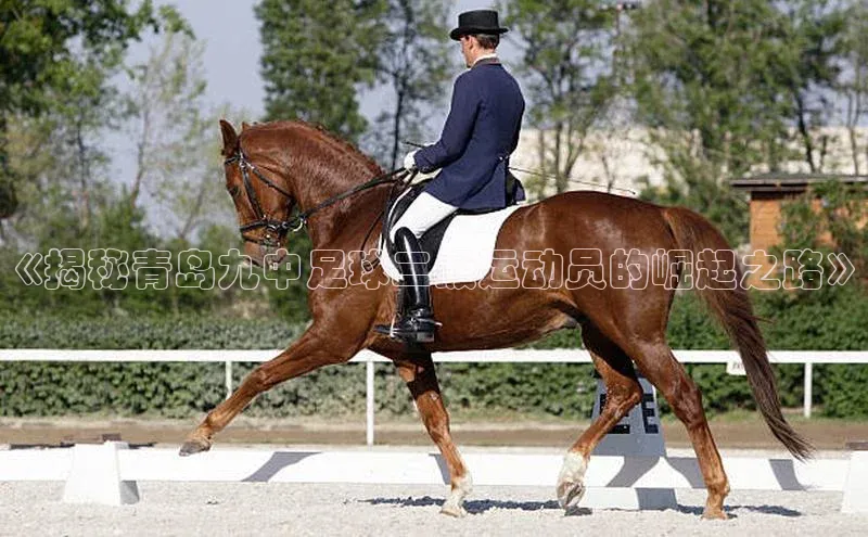 中欧体育官方平台入口百度智能门户