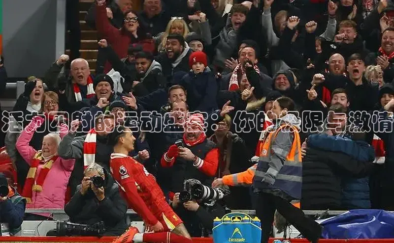 zoty28中欧体育网址颐驰 06