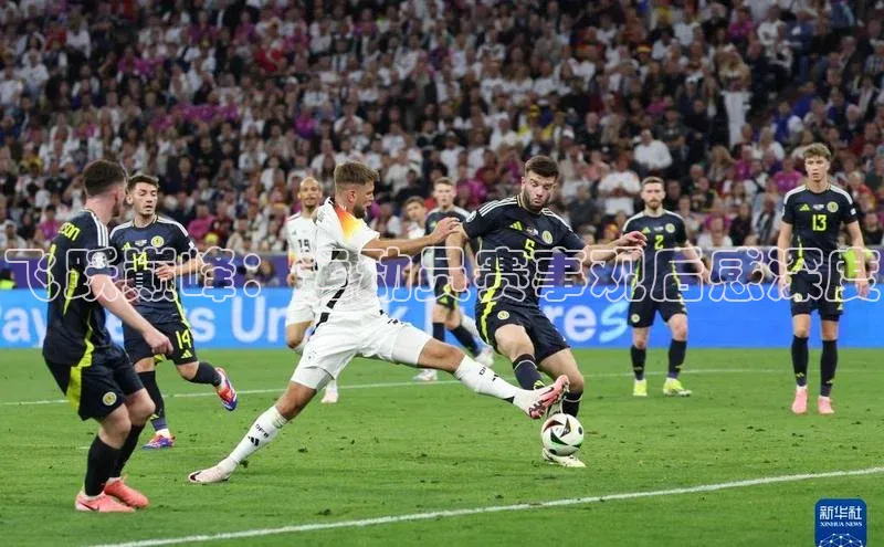 zoty中欧体育全站如流