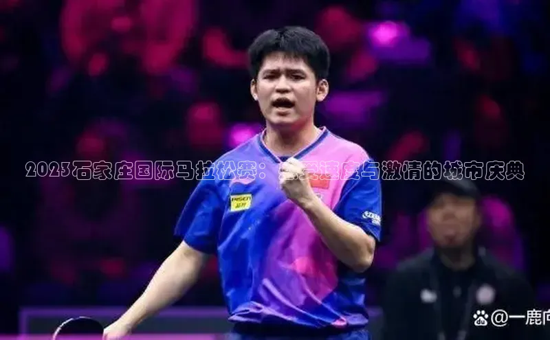 中欧体育全站app在线登录小米