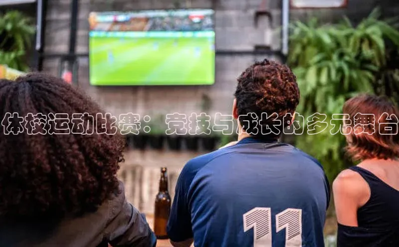 中欧体育官方平台入口