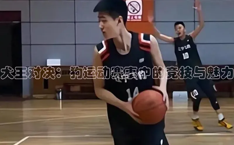 zoty中欧体育官方网站