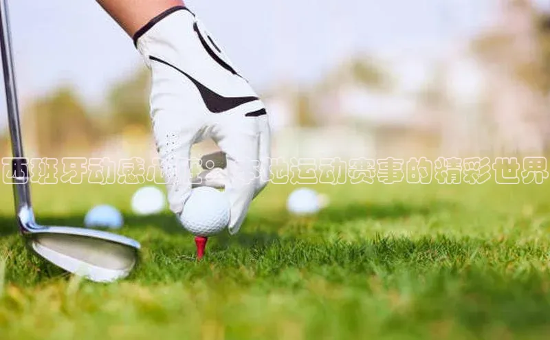 中欧体育网页登录入口下载