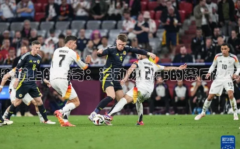 中欧体育官方网站链接