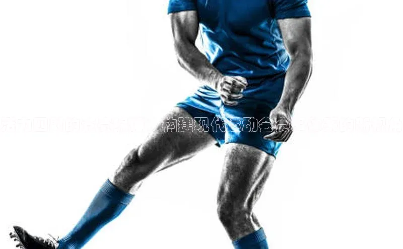 中欧体育网页版入口