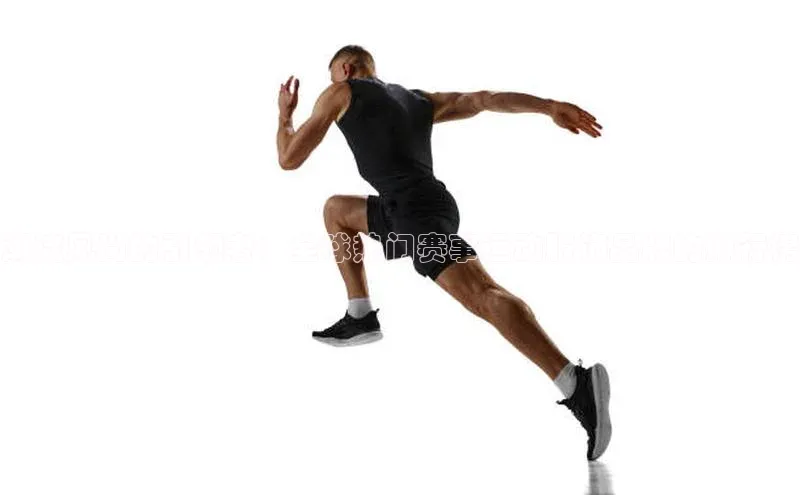 中欧体育网页版入口