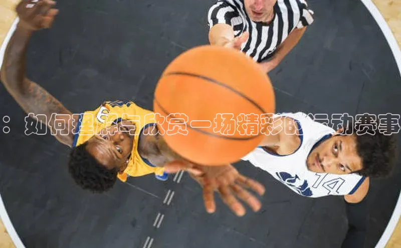 Zoty中欧体育登录入口