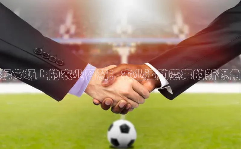 中欧体育网页版入口