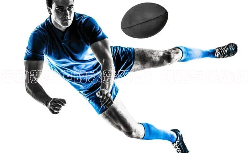 中欧app登录入口手机版