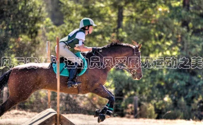 中欧体育官方平台入口下载