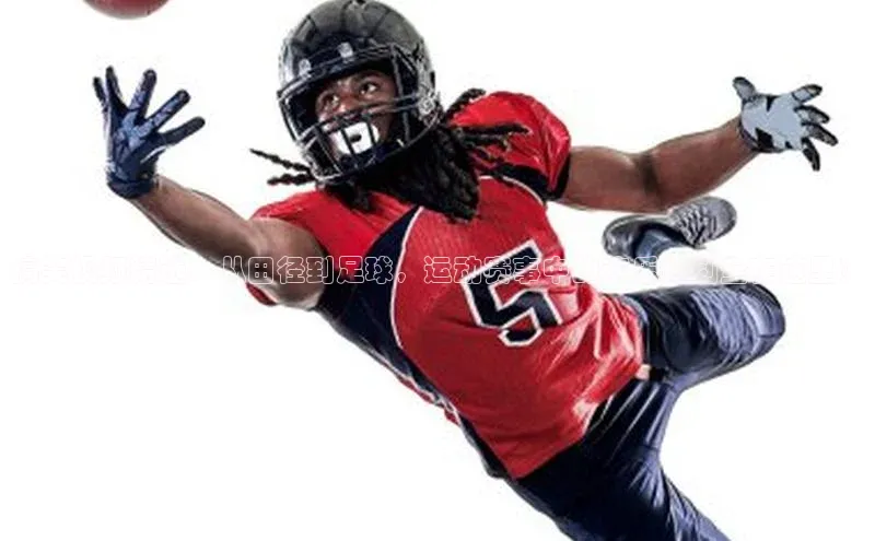 中欧app登录入口手机版