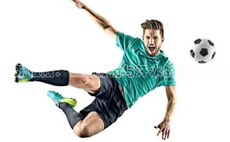 中欧体育网页版入口