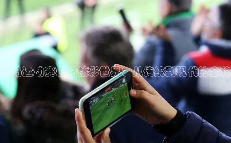 中欧体育官方平台入口网址