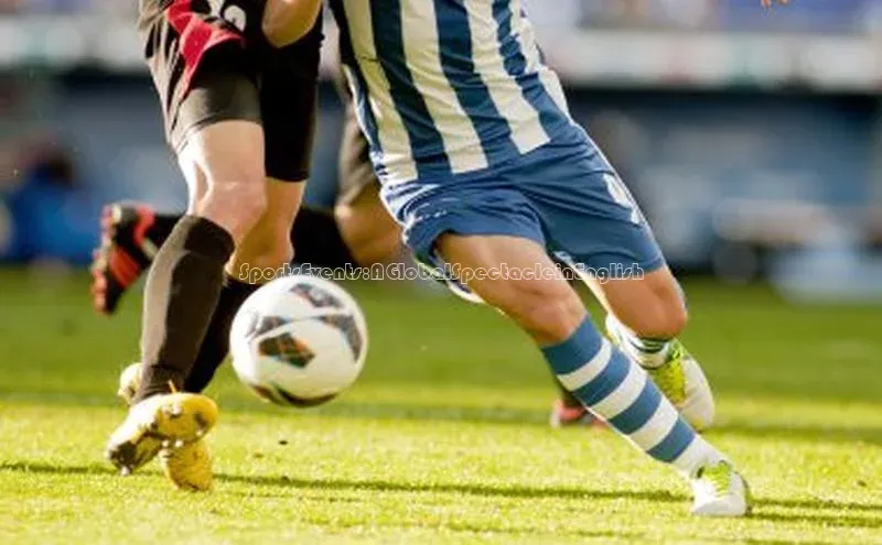 中欧app登录入口手机版