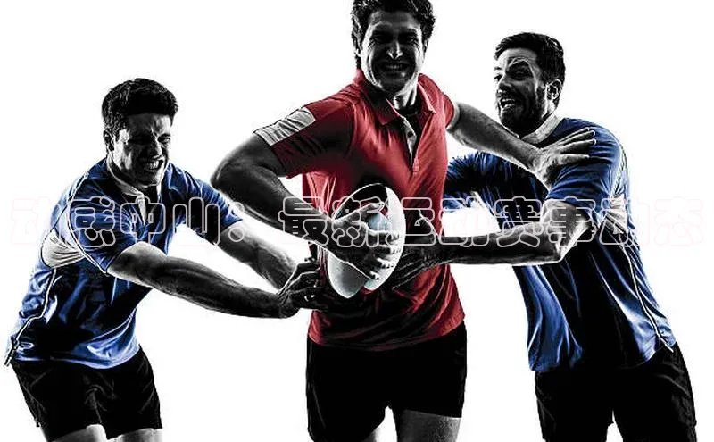 中欧体育app官方网站