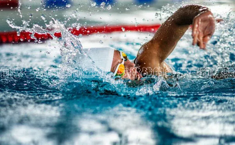 中欧体育官方网站链接