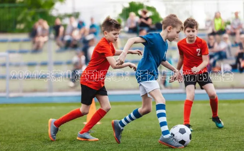 中欧体育全站app