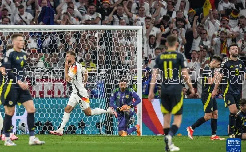 中欧体育app官方网站