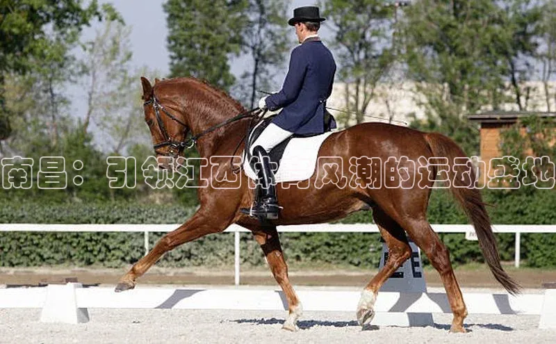 中欧app下载官网最新版